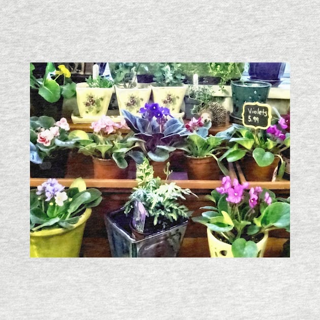 African Violets - African Violets For Sale by SusanSavad